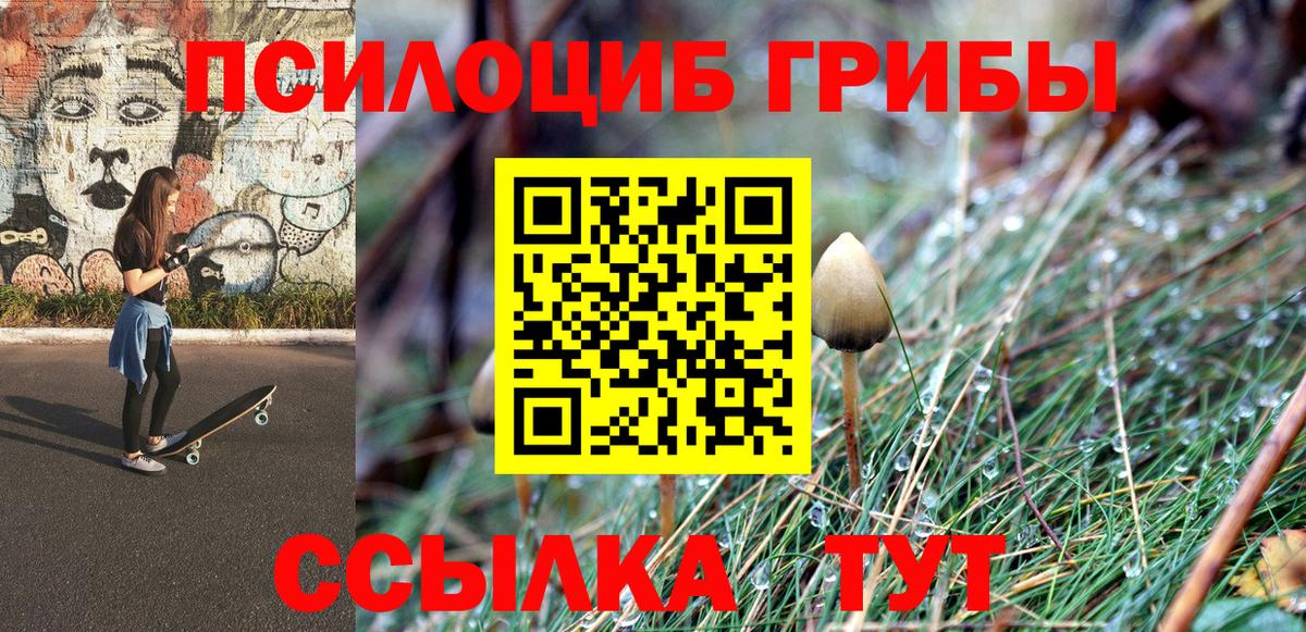 Галлюциногенные грибы мухоморы  наркота  Усть-Илимск  Вход с VPN 